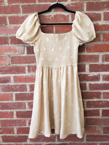 Daisy Embroidery Mini Dress