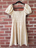 Daisy Embroidery Mini Dress
